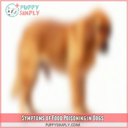 Symptoms of Food Poisoning in Dogs