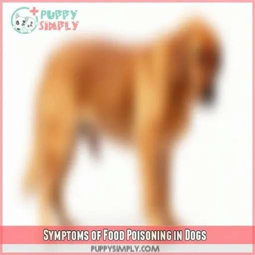 Symptoms of Food Poisoning in Dogs