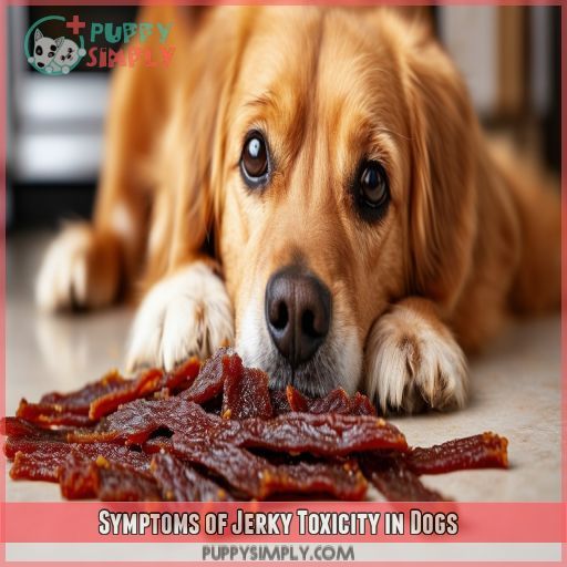 Symptoms of Jerky Toxicity in Dogs