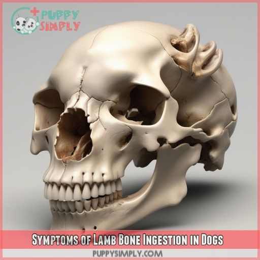Symptoms of Lamb Bone Ingestion in Dogs
