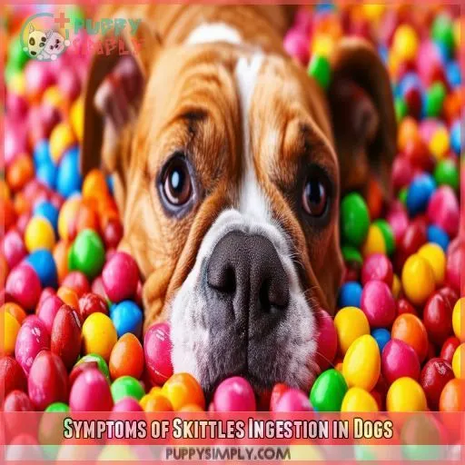 Symptoms of Skittles Ingestion in Dogs