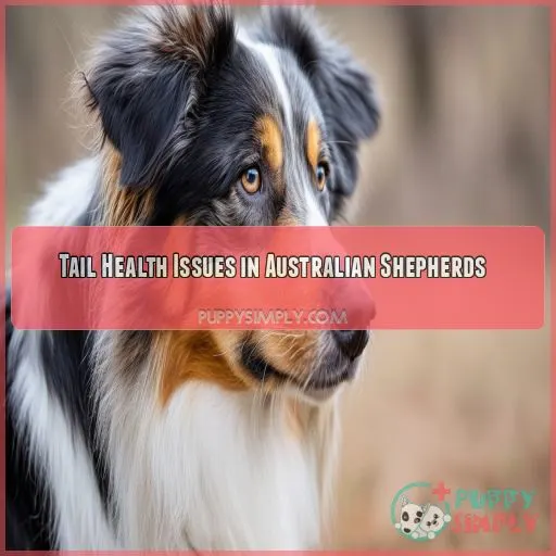 Tail Health Issues in Australian Shepherds