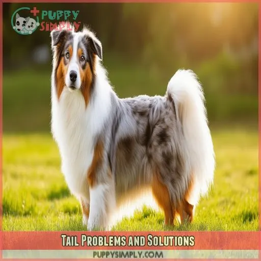 Tail Problems and Solutions