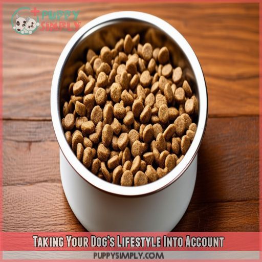 Taking Your Dog’s Lifestyle Into Account