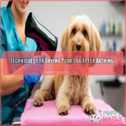 Techniques for Drying Your Dog After Bathing