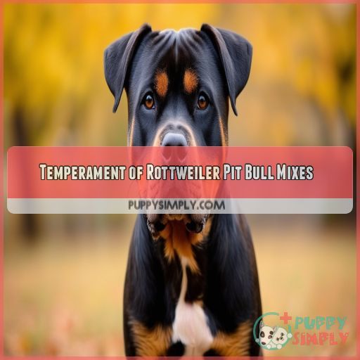 Temperament of Rottweiler Pit Bull Mixes