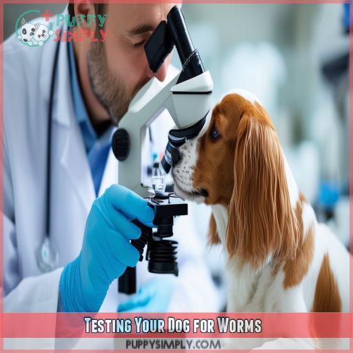 Testing Your Dog for Worms