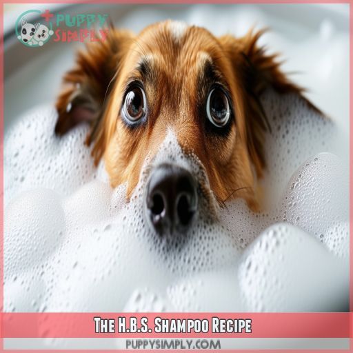 The H.B.S. Shampoo Recipe
