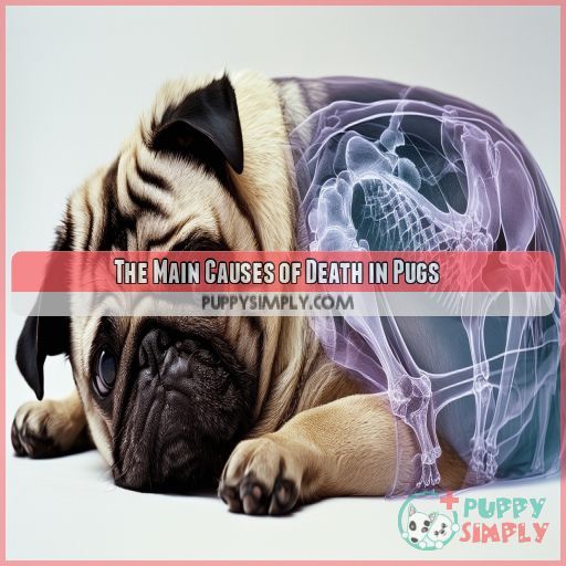 The Main Causes of Death in Pugs