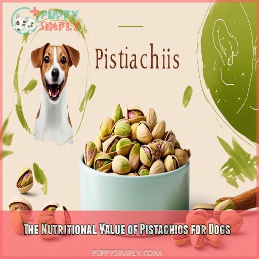 The Nutritional Value of Pistachios for Dogs