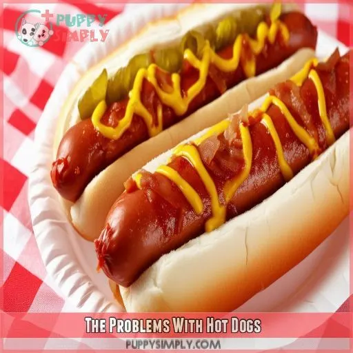 The Problems With Hot Dogs