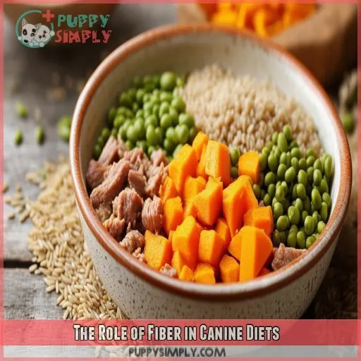 The Role of Fiber in Canine Diets