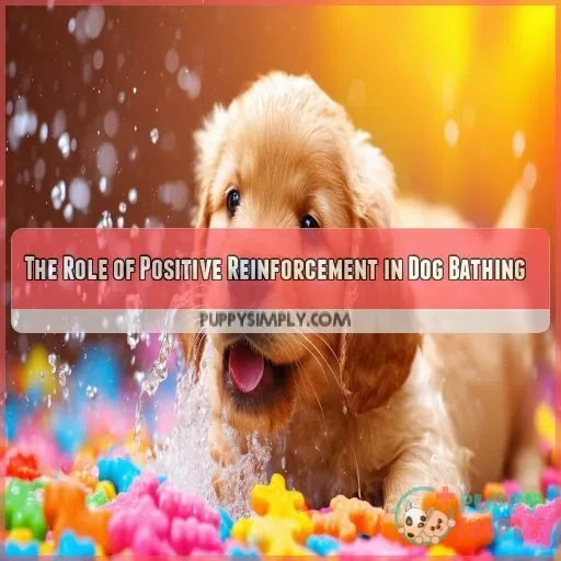 The Role of Positive Reinforcement in Dog Bathing