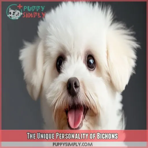 The Unique Personality of Bichons