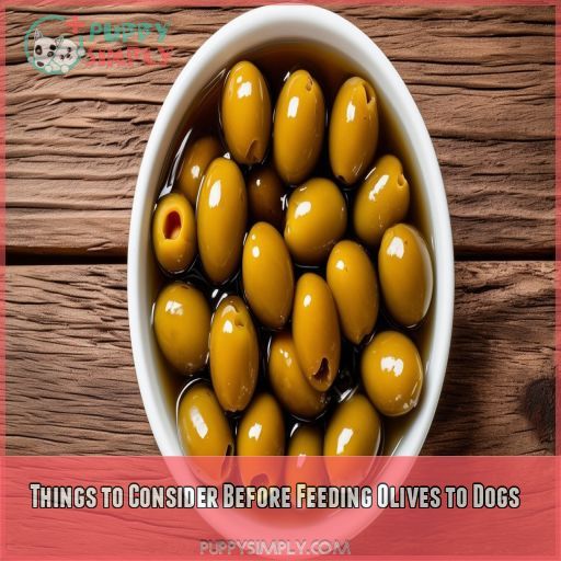 Things to Consider Before Feeding Olives to Dogs