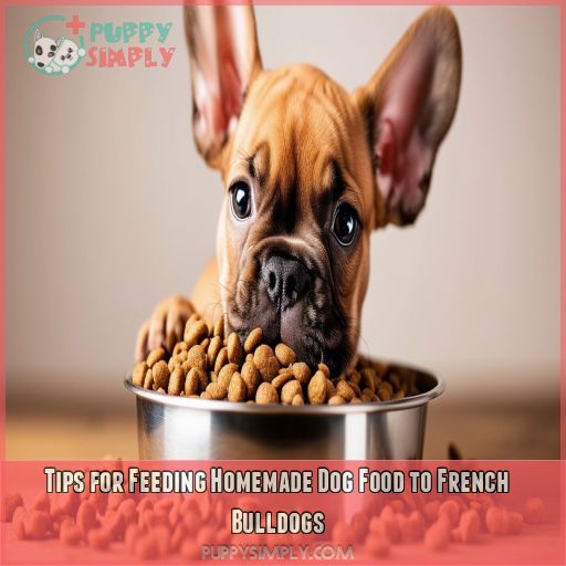 Tips for Feeding Homemade Dog Food to French Bulldogs