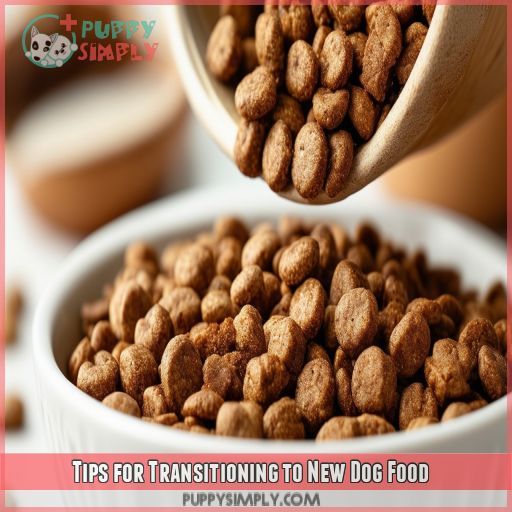 Tips for Transitioning to New Dog Food