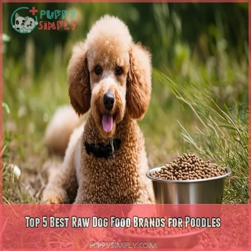 Top 5 Best Raw Dog Food Brands for Poodles