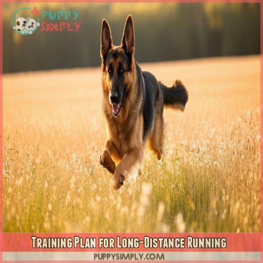 Training Plan for Long-Distance Running