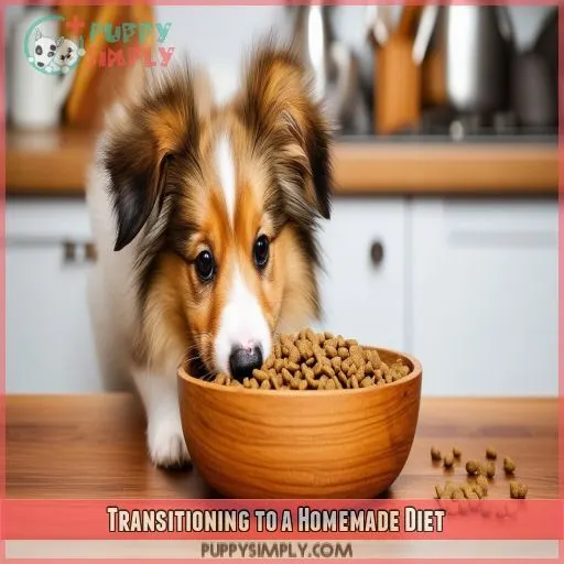 Transitioning to a Homemade Diet