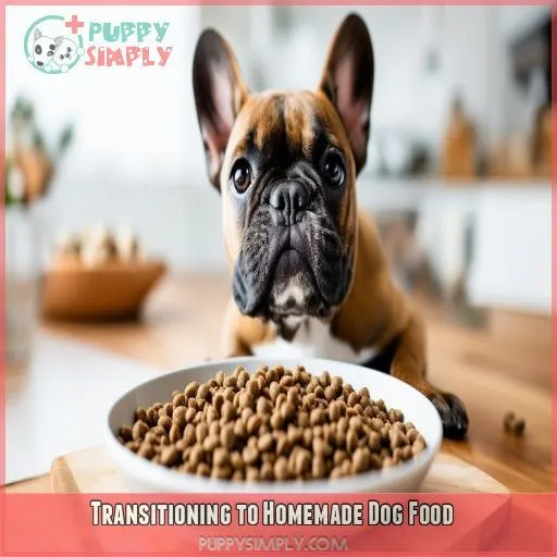 Transitioning to Homemade Dog Food