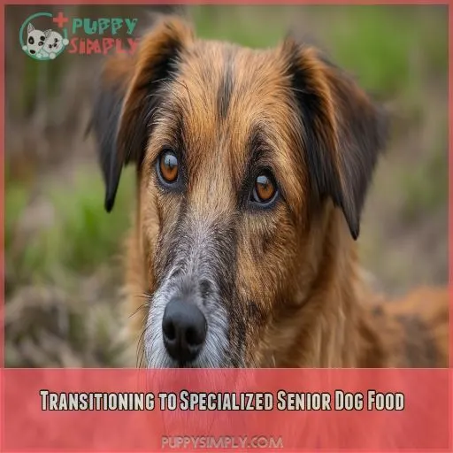 Transitioning to Specialized Senior Dog Food