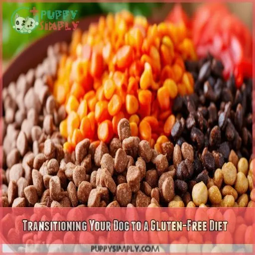 Transitioning Your Dog to a Gluten-Free Diet Transitioning Your Dog to a Gluten-Free Diet