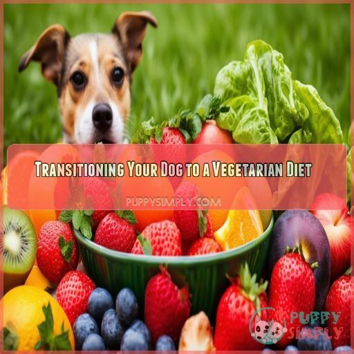Transitioning Your Dog to a Vegetarian Diet Transitioning Your Dog to a Vegetarian Diet