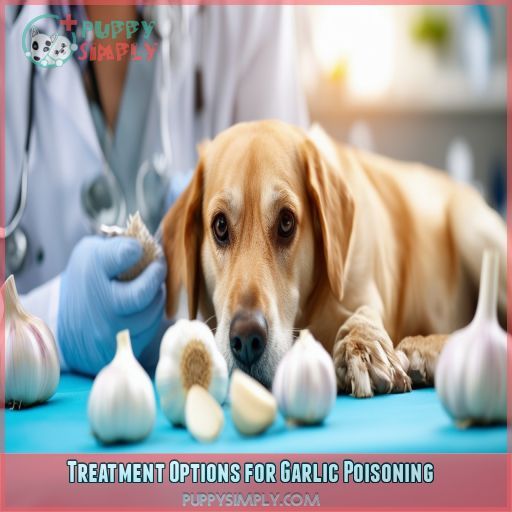 Treatment Options for Garlic Poisoning