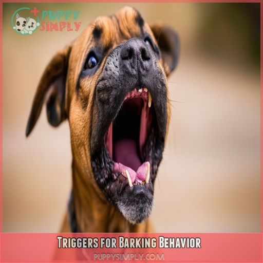 Triggers for Barking Behavior