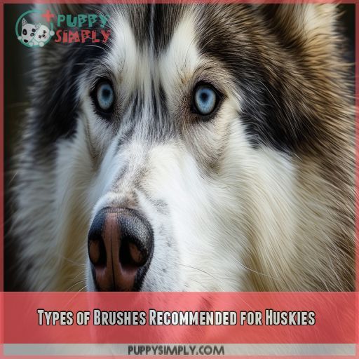 Types of Brushes Recommended for Huskies