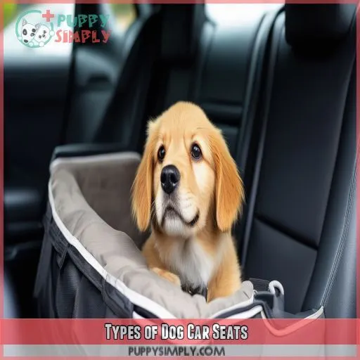 Types of Dog Car Seats