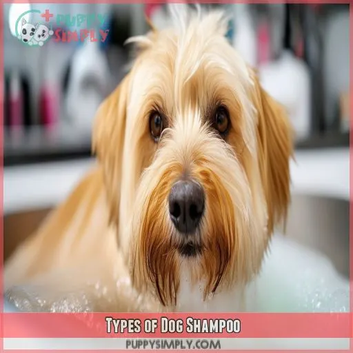 Types of Dog Shampoo