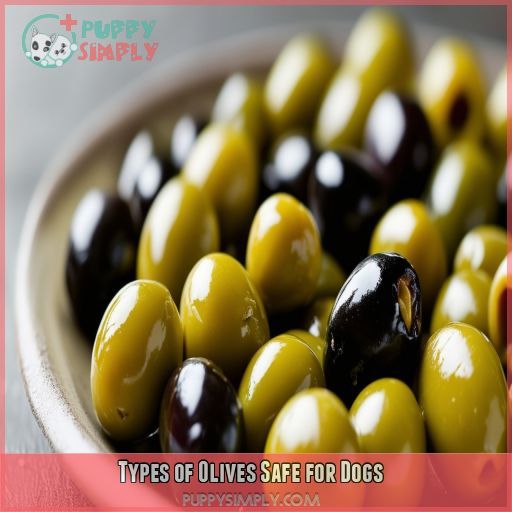 Types of Olives Safe for Dogs