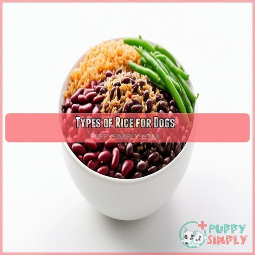 Types of Rice for Dogs Types of Rice for Dogs