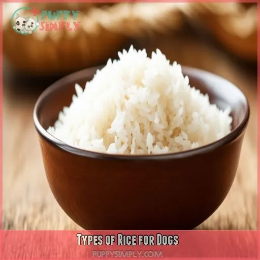 Types of Rice for Dogs
