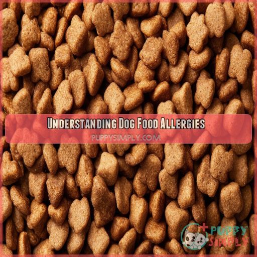 Understanding Dog Food Allergies