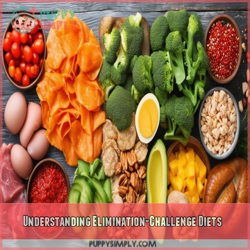 Understanding Elimination-Challenge Diets