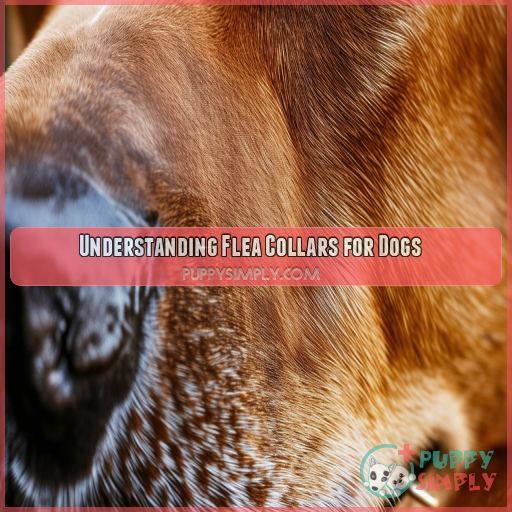 Understanding Flea Collars for Dogs