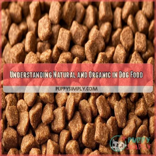 Understanding Natural and Organic in Dog Food