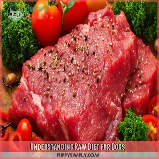 Understanding Raw Diet for Dogs