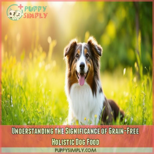 Understanding the Significance of Grain-Free Holistic Dog Food