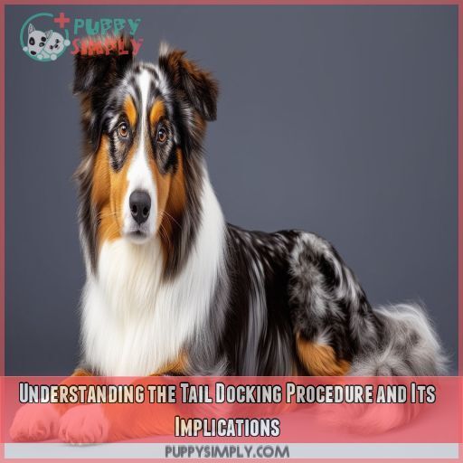 Understanding the Tail Docking Procedure and Its Implications Understanding the Tail Docking Procedure and Its Implications