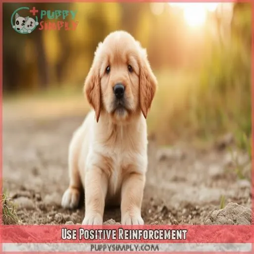 Use Positive Reinforcement