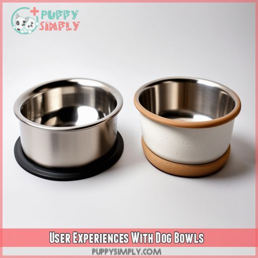 User Experiences With Dog Bowls