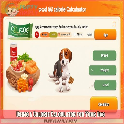 Using a Calorie Calculator for Your Dog