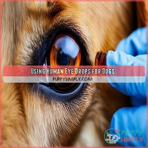 Using Human Eye Drops for Dogs