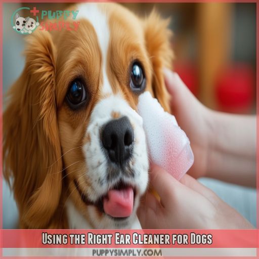 Using the Right Ear Cleaner for Dogs