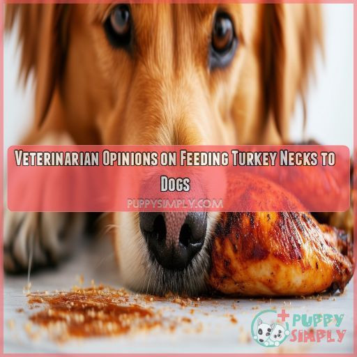 Veterinarian Opinions on Feeding Turkey Necks to Dogs