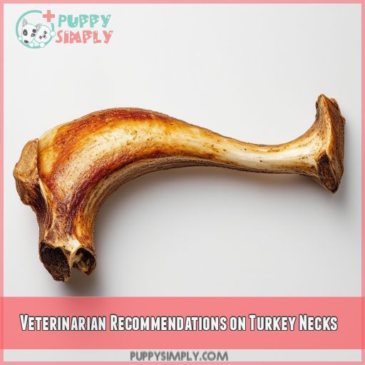Veterinarian Recommendations on Turkey Necks